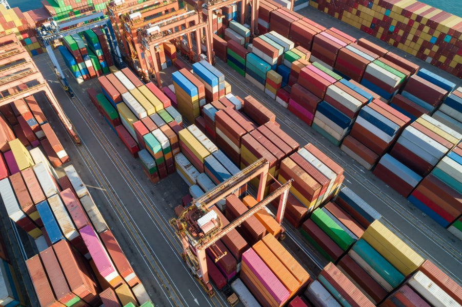 Sea Freight vs Air Freight: Which is Right for Your Business